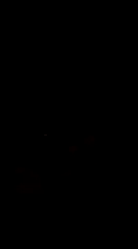 Raj41 online show from 03/01/25, 05:05