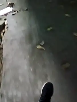 Raj41 online show from 01/13/26, 02:44