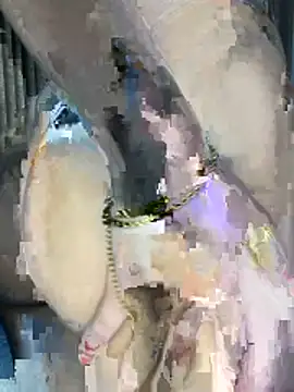 perolaa8 online show from 03/17/26, 05:05