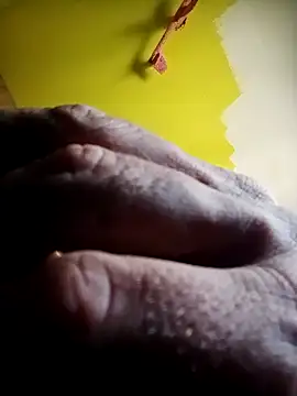 wapo100x100 online show from 10/06/25, 11:07