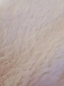 feketedemon36 online show from 01/21/25, 09:15