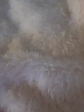 feketedemon36 online show from 01/25/25, 04:57