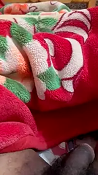 mhmia online show from 01/30/25, 03:40