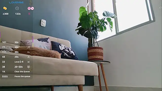 GerberaBlooms77 online show from 03/11/25, 06:52