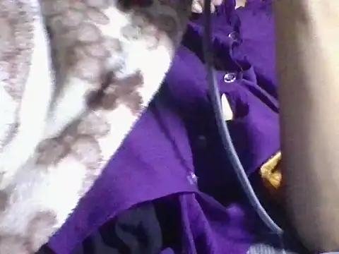 AKANSHA 7 online show from 11/01/25, 04:53