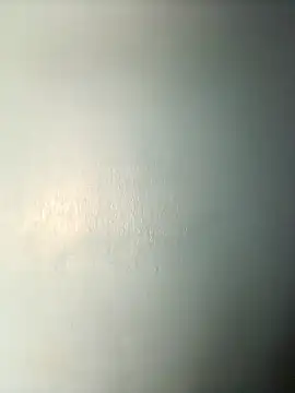 randit7 online show from 03/14/25, 08:10