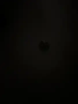 Boneca25 online show from 02/05/26, 08:30