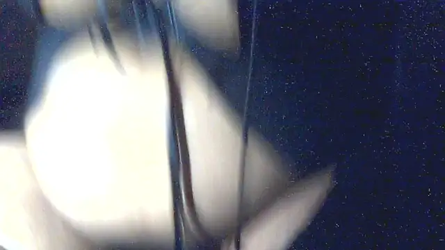 Leelasissy online show from 03/06/26, 05:20