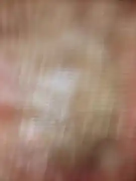 xmanrawan2 online show from 02/20/25, 08:39