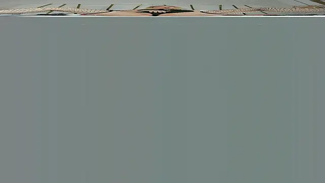 violet gray  online show from 09/13/25, 10:53