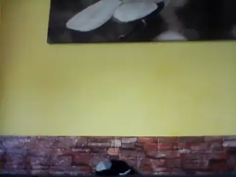 sexy lady2 online show from 02/17/25, 10:07