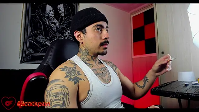 scockpion   online show from 02/18/26, 08:32