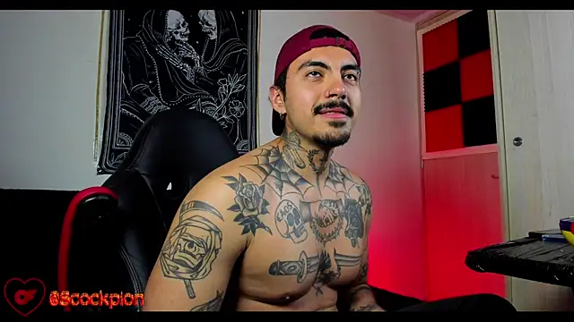 scockpion   online show from 02/20/26, 06:26