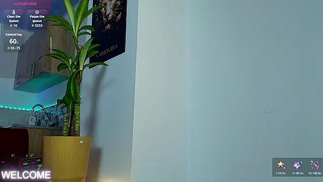 Dwayne Brown online show from 02/21/26, 01:01