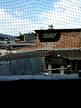 Niick01  online show from 11/09/25, 08:40