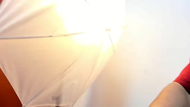 roan birkin online show from 01/11/26, 07:41