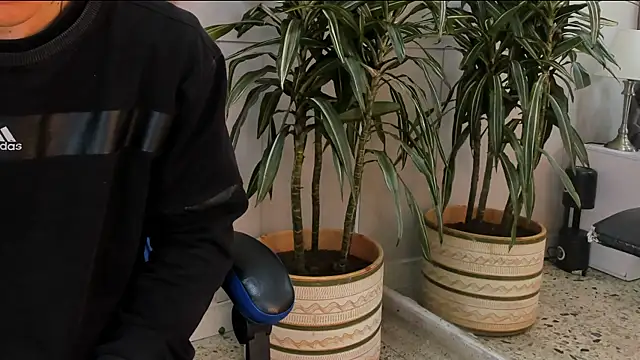 roan birkin online show from 04/21/26, 07:28