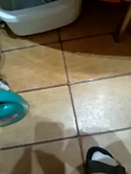 Snapshot of NAvoglia chatting on 03/12/26, 11:55 NAvoglia online show from 03/12/26, 11:55