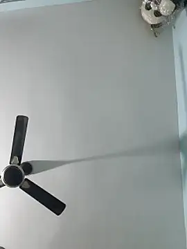 Babybird online show from 02/10/25, 08:42