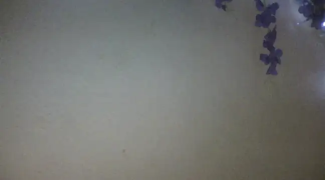 xxsexycutexxx online show from 02/18/25, 06:04