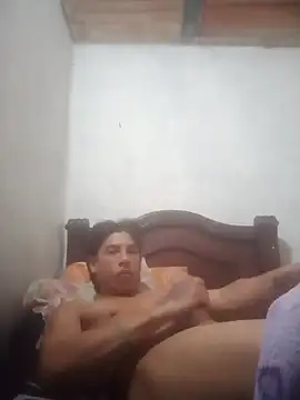 snake on online show from 02/06/25, 05:46