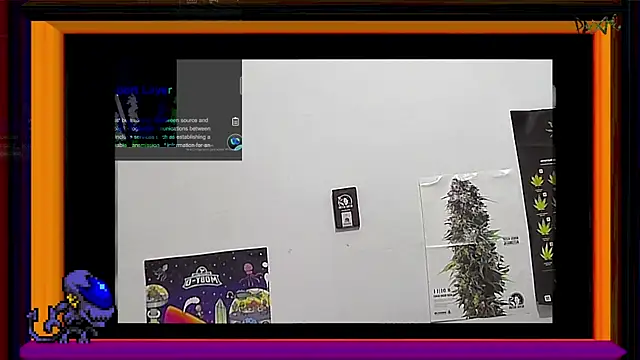 ReyDeBotones online show from 03/14/25, 09:00