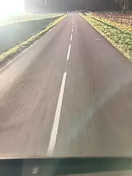 Snapshot of Dam70 chatting on 12/17/25, 08:31 Dam70 online show from 12/17/25, 08:31