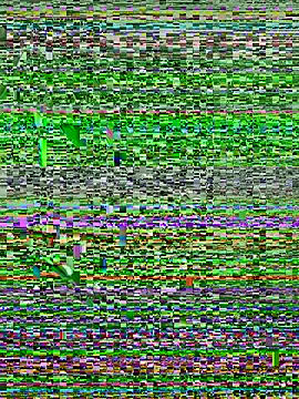 Walker Thomas1 online show from 07/10/26, 10:34