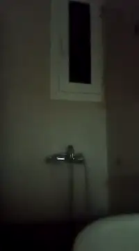 ginger 1 1 online show from 02/15/25, 05:28