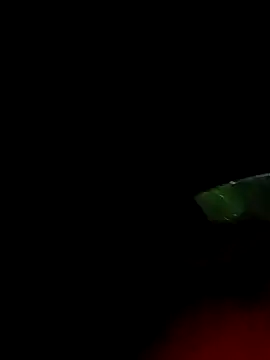 ginger 1 1 online show from 03/18/25, 12:38