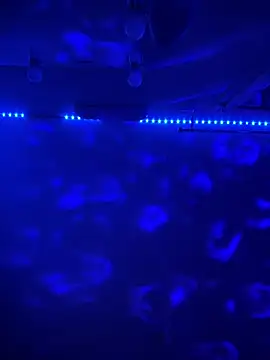 BBSTRING online show from 11/15/25, 06:59