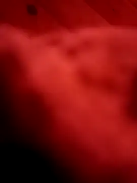 Arabian online show from 02/11/25, 06:01