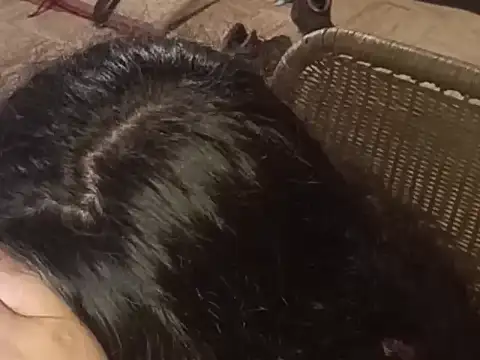 isabellapurple online show from 03/05/26, 02:07