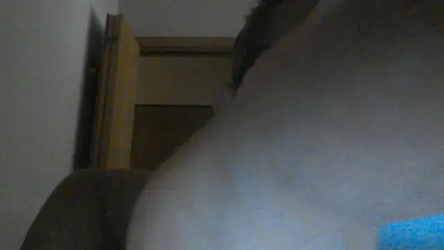 Snapshot of eccomi6996 chatting on 06/25/26, 08:52 eccomi6996 online show from 06/25/26, 08:52