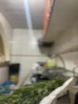 Carola-Ross online show from 03/24/26, 05:40