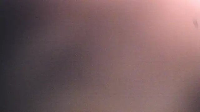 Dhalila  online show from 12/17/25, 01:17