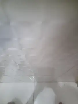 allisonbr online show from 02/20/26, 08:27