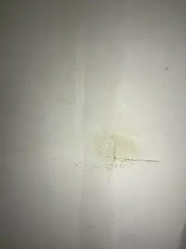 Snapshot of Hamza-Maroki chatting on 11/21/25, 10:08 Hamza-Maroki online show from 11/21/25, 10:08