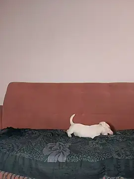 Jehan Soto online show from 09/09/25, 05:12