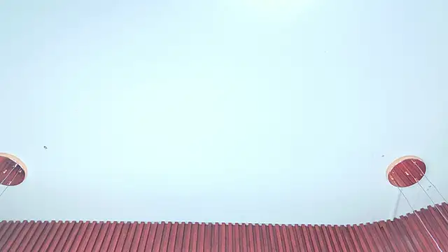 YesyHills online show from 05/20/26, 11:49
