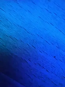 GmG2029 online show from 03/01/25, 06:54