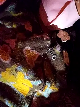 Snapshot of PPP_25 chatting on 11/14/25, 01:54 PPP 25 online show from 11/14/25, 01:54