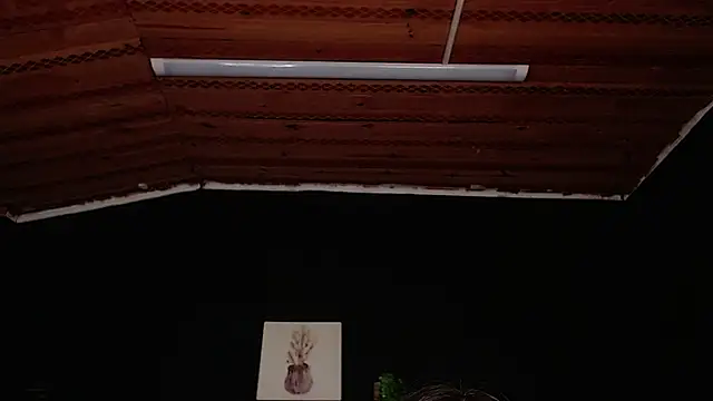 fyreandfox  online show from 11/18/25, 06:56