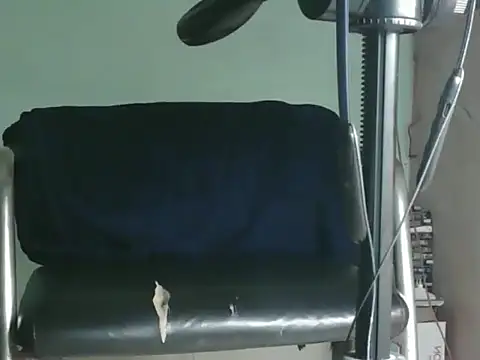 PreetyKitten online show from 11/08/25, 01:55