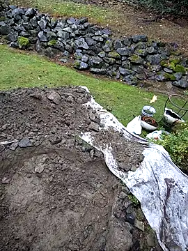 KingSlim56 online show from 11/15/25, 08:16