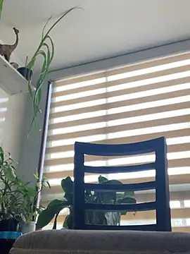 NatashaRex online show from 07/11/26, 07:38
