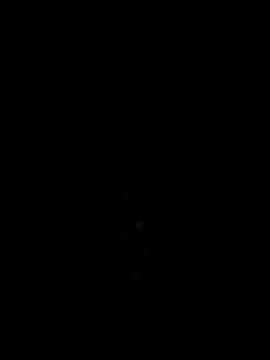 Nidge251 online show from 11/04/25, 05:28