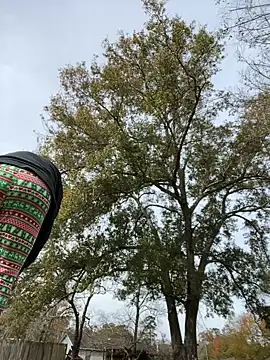 HTXBELLE online show from 12/16/25, 05:07