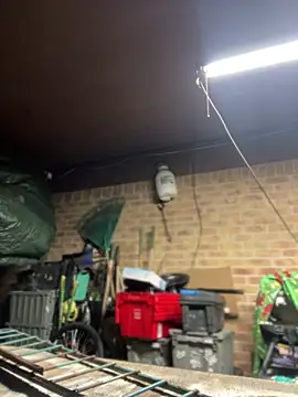 HTXBELLE online show from 03/11/26, 03:01