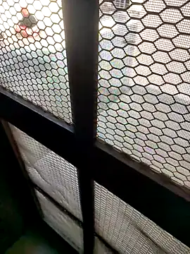 indian couple4 online show from 02/07/26, 08:40